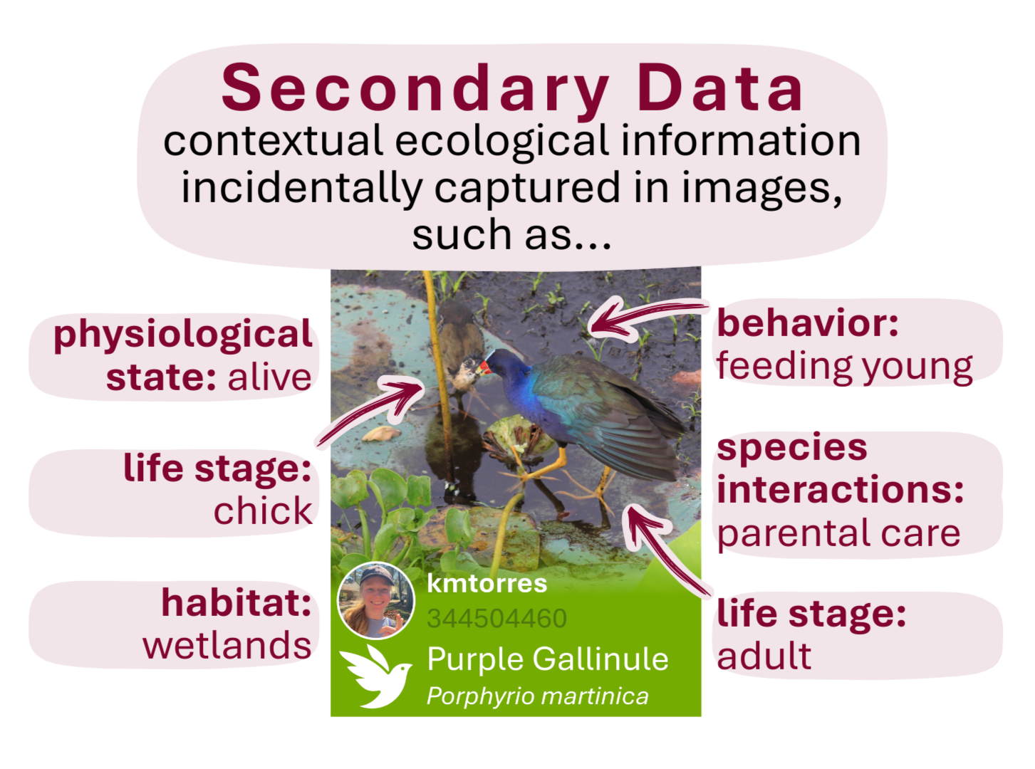 Secondary data definition figure